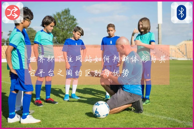 世界杯下注网站如何判断体彩与其它平台之间的区别与优势
