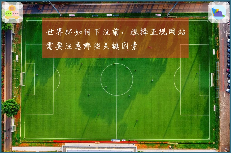 世界杯如何下注前，选择正规网站需要注意哪些关键因素
