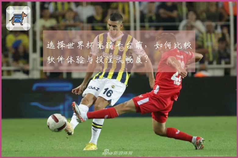 选择世界杯竞猜平台前，如何比较软件体验与投注流畅度？