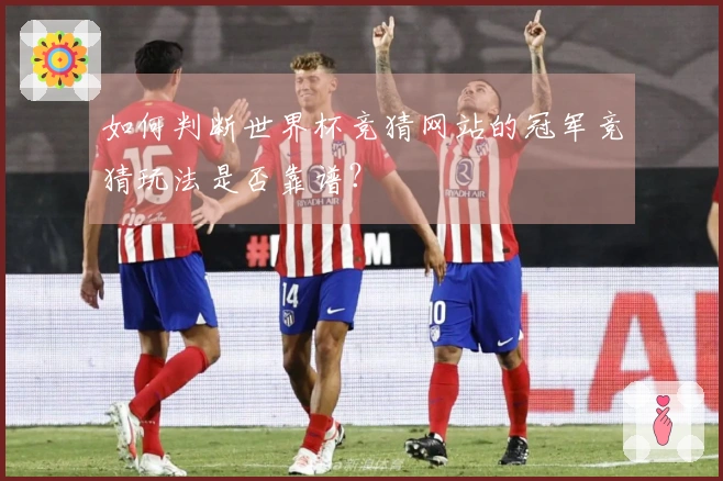 如何判断世界杯竞猜网站的冠军竞猜玩法是否靠谱？