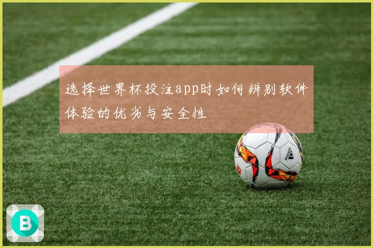 选择世界杯投注app时如何辨别软件体验的优劣与安全性