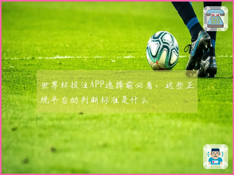 世界杯投注APP选择前必看，这些正规平台的判断标准是什么