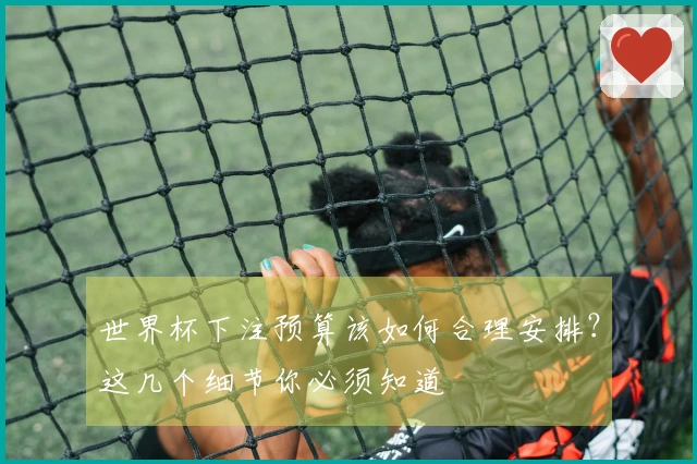 世界杯下注预算该如何合理安排？这几个细节你必须知道