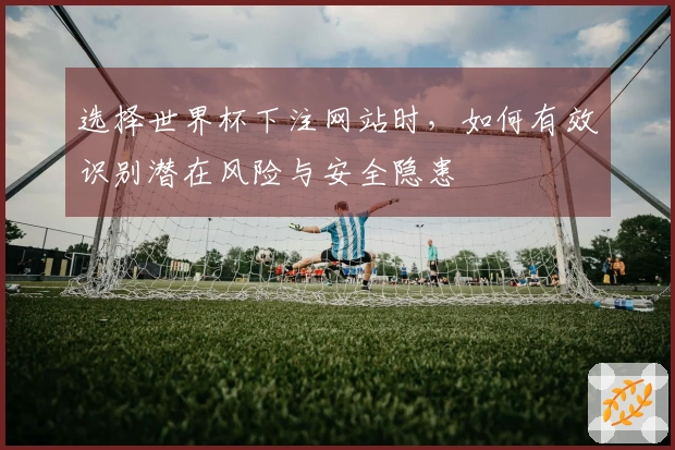 选择世界杯下注网站时，如何有效识别潜在风险与安全隐患