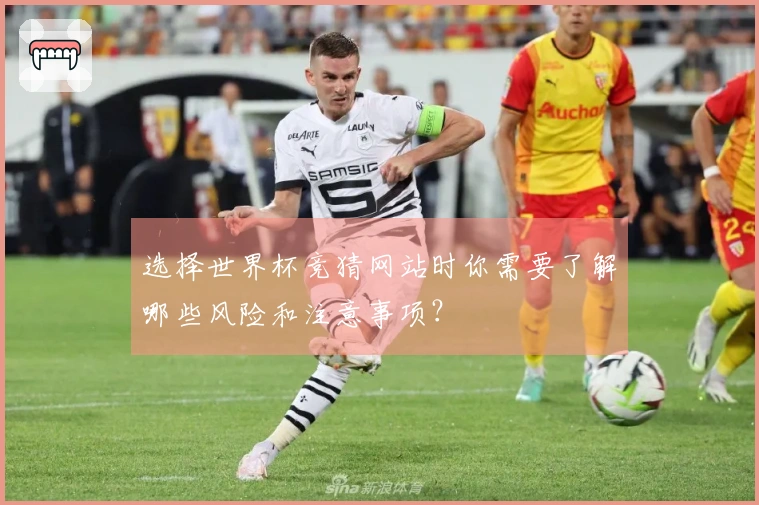 选择世界杯竞猜网站时你需要了解哪些风险和注意事项？