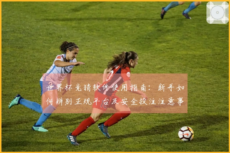 世界杯竞猜软件使用指南：新手如何辨别正规平台及安全投注注意事项