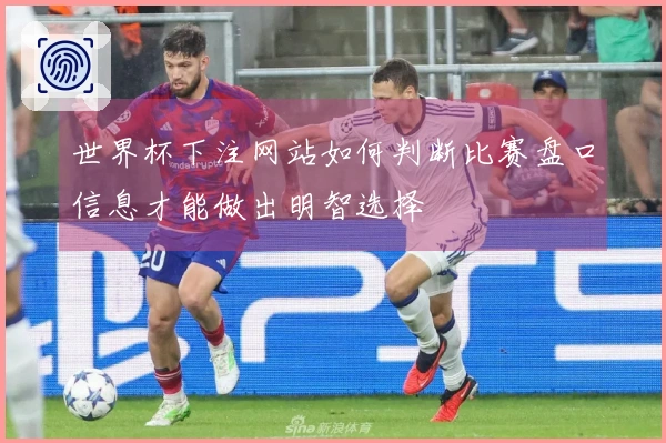 世界杯下注网站如何判断比赛盘口信息才能做出明智选择