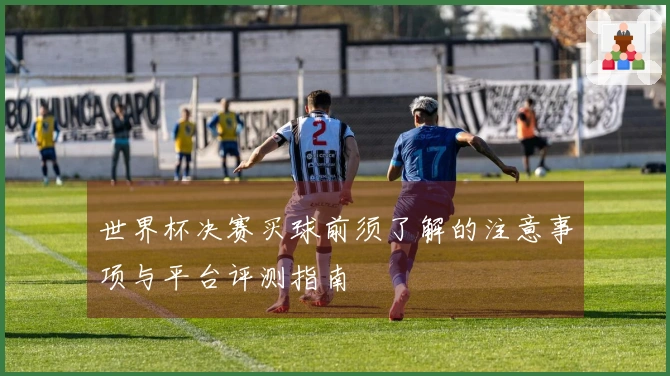 世界杯决赛买球前须了解的注意事项与平台评测指南