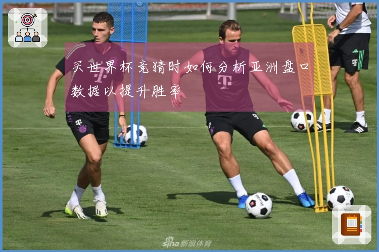 买世界杯竞猜时如何分析亚洲盘口数据以提升胜率