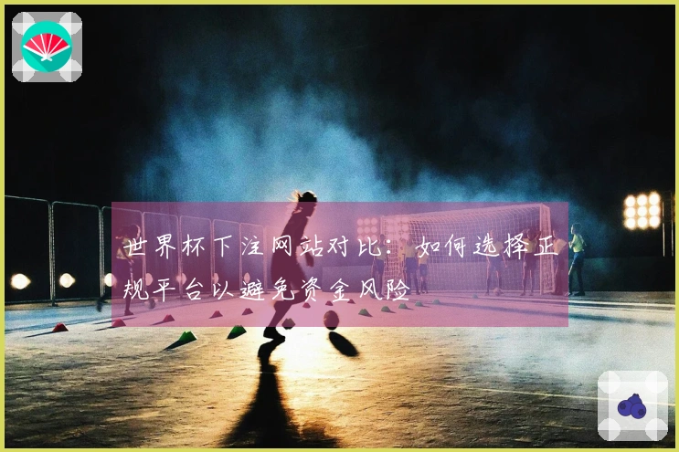 世界杯下注网站对比：如何选择正规平台以避免资金风险