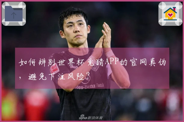 如何辨别世界杯竞猜APP的官网真伪，避免下注风险？