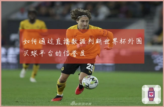 如何通过直播数据判断世界杯外围买球平台的信誉度