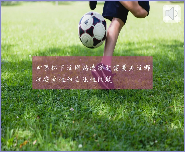 世界杯下注网站选择时需要关注哪些安全性和合法性问题