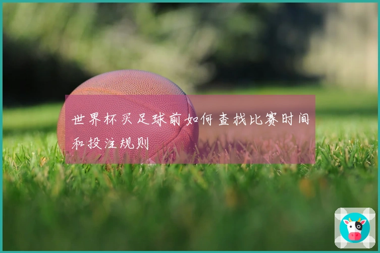 世界杯买足球前如何查找比赛时间和投注规则