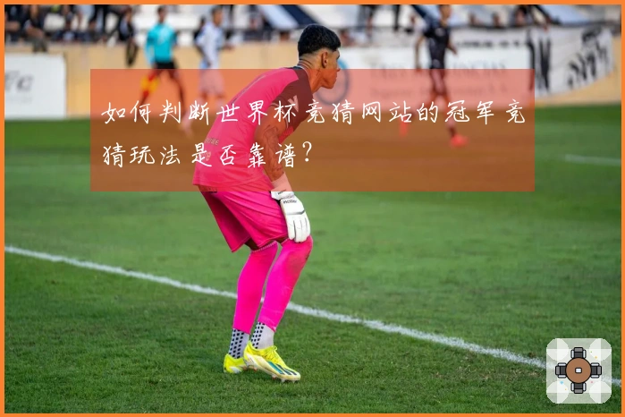 如何判断世界杯竞猜网站的冠军竞猜玩法是否靠谱？