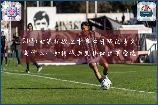 2026世界杯投注中盘口升降的含义是什么，如何根据变化做出明智选择？