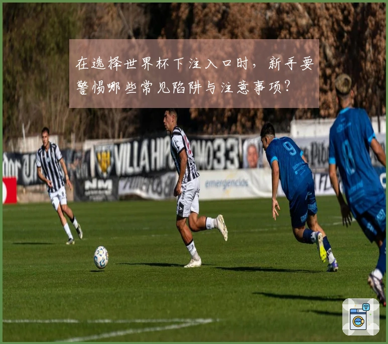 在选择世界杯下注入口时，新手要警惕哪些常见陷阱与注意事项？