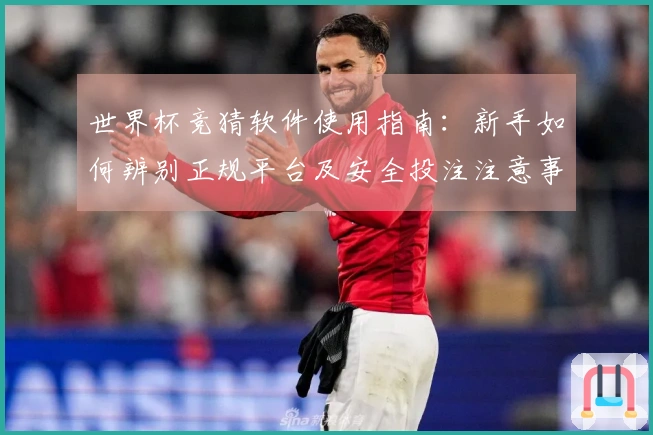 世界杯竞猜软件使用指南：新手如何辨别正规平台及安全投注注意事项
