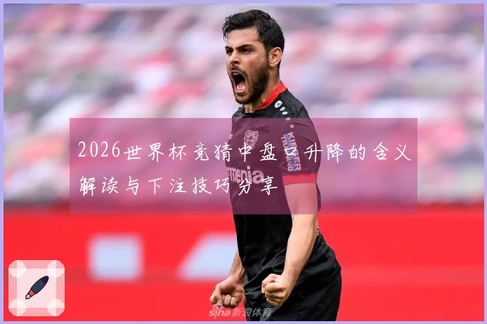 2026世界杯竞猜中盘口升降的含义解读与下注技巧分享