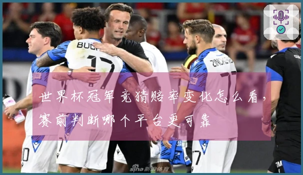 世界杯冠军竞猜赔率变化怎么看，赛前判断哪个平台更可靠