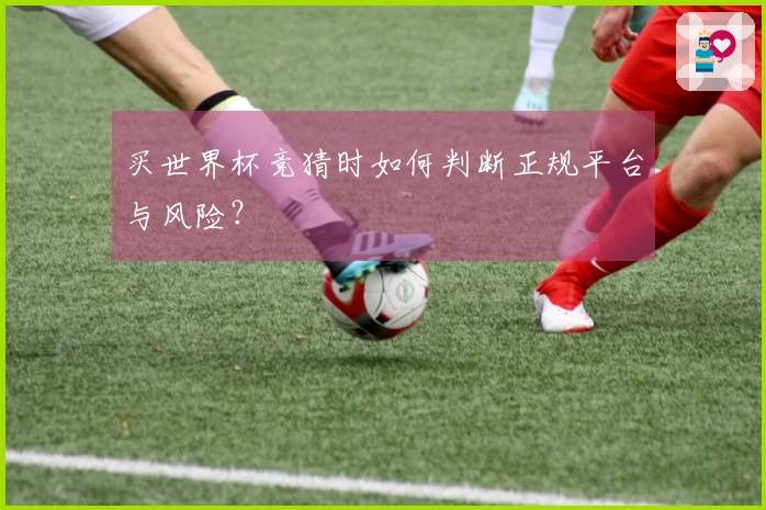 买世界杯竞猜时如何判断正规平台与风险？