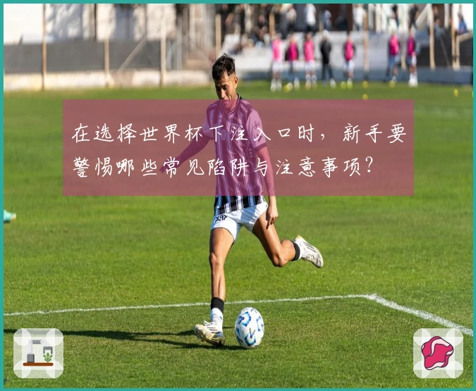 在选择世界杯下注入口时，新手要警惕哪些常见陷阱与注意事项？