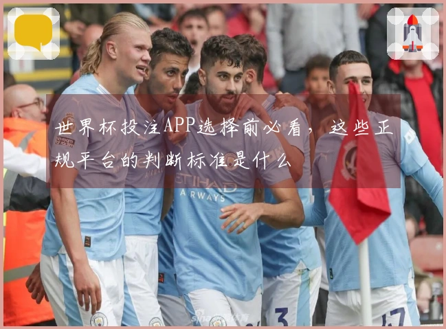 世界杯投注APP选择前必看，这些正规平台的判断标准是什么