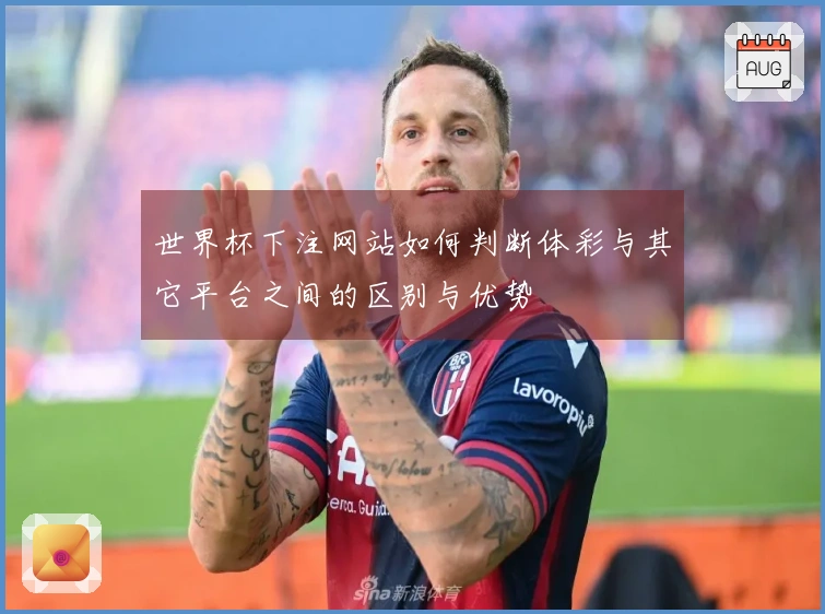 世界杯下注网站如何判断体彩与其它平台之间的区别与优势