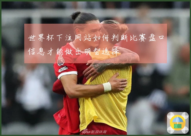 世界杯下注网站如何判断比赛盘口信息才能做出明智选择