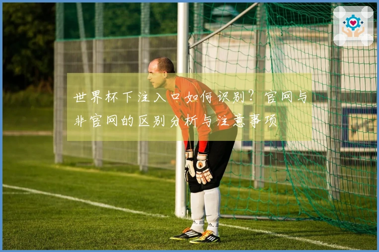 世界杯下注入口如何识别？官网与非官网的区别分析与注意事项