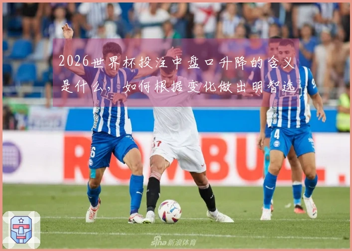 2026世界杯投注中盘口升降的含义是什么，如何根据变化做出明智选择？