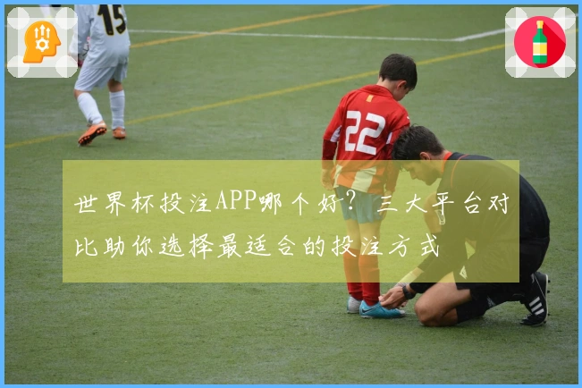 世界杯投注APP哪个好？三大平台对比助你选择最适合的投注方式