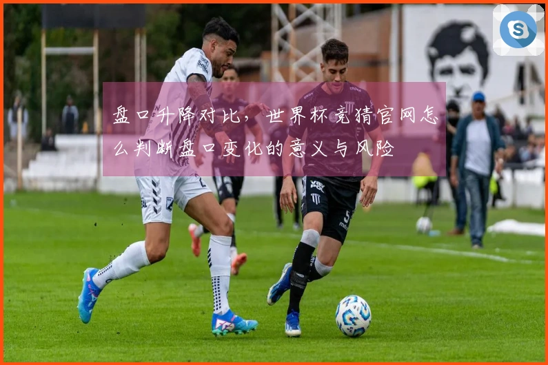 盘口升降对比，世界杯竞猜官网怎么判断盘口变化的意义与风险