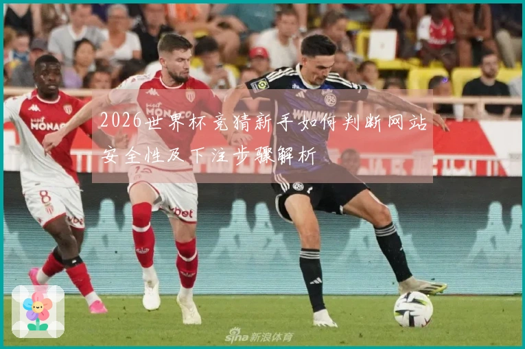 2026世界杯竞猜新手如何判断网站安全性及下注步骤解析