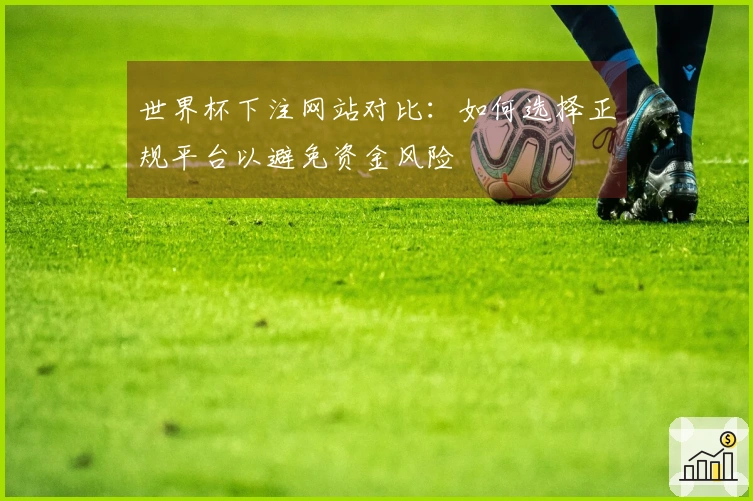 世界杯下注网站对比：如何选择正规平台以避免资金风险