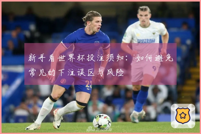 新手看世界杯投注须知：如何避免常见的下注误区与风险