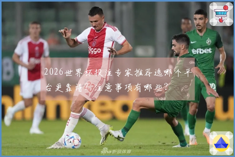 2026世界杯投注专家推荐选哪个平台更靠谱？注意事项有哪些？