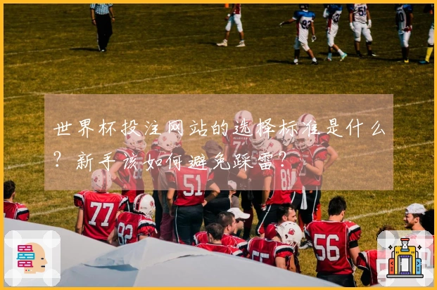 世界杯投注网站的选择标准是什么？新手该如何避免踩雷？