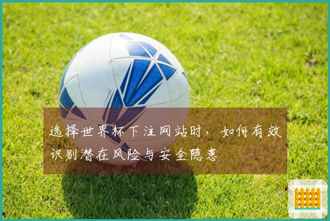选择世界杯下注网站时，如何有效识别潜在风险与安全隐患