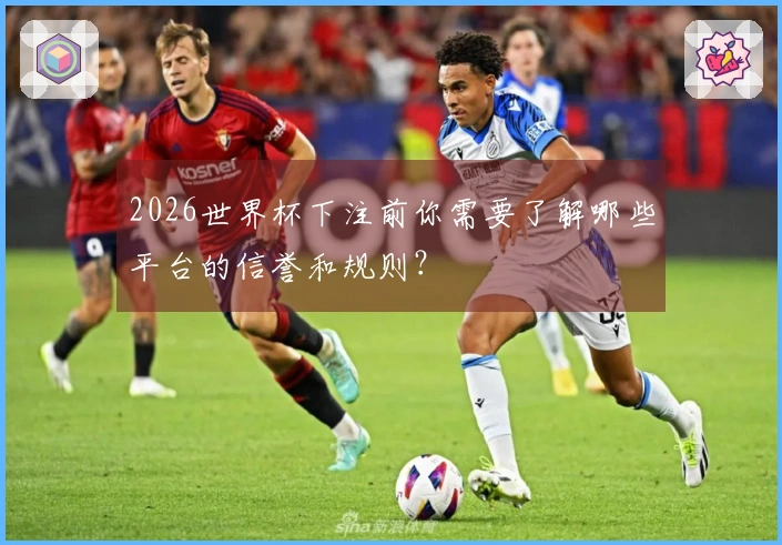 2026世界杯下注前你需要了解哪些平台的信誉和规则？