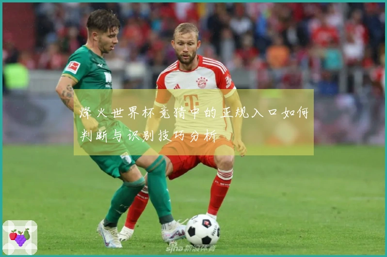 烽火世界杯竞猜中的正规入口如何判断与识别技巧分析