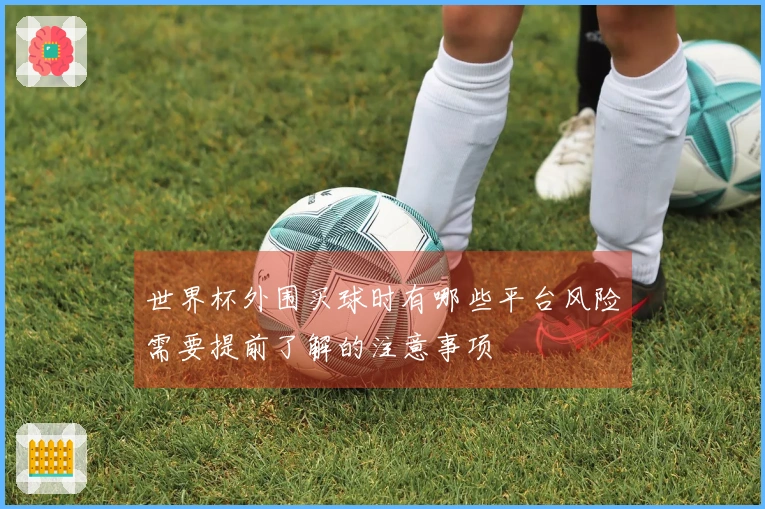 世界杯外围买球时有哪些平台风险需要提前了解的注意事项