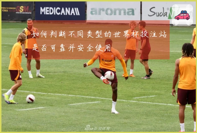 如何判断不同类型的世界杯投注站是否可靠并安全使用